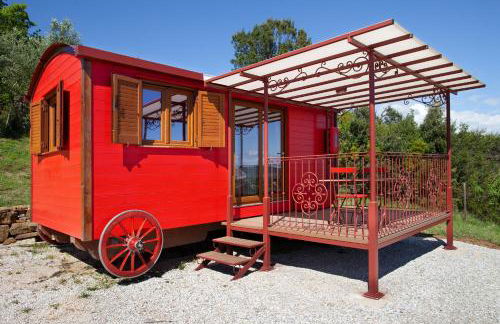 Poggio Diavolino - Suvereto - Foto 51