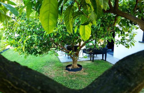 House of Silence - Foto 25