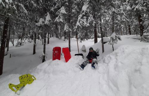 Chalet Woody - Foto 49