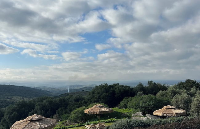 Cortijo Genesis - Foto 37