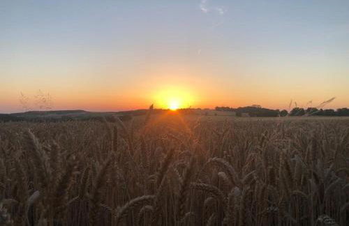 Ferienwohnung auf dem Bauernhof in Hachenburg Hof Kleeberg II - Foto 17