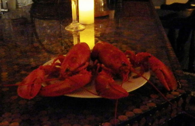 Denmark Stage Stop House - Photo 15