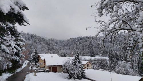 Gîte du ruisseau - Foto 3