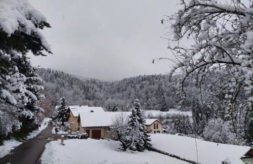 Gîte du ruisseau - Foto 3