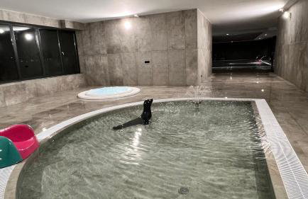 Awenturyn Apartament SAGARIS Dziwnów - Photo 40