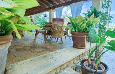 Son Apiana - Foto 58