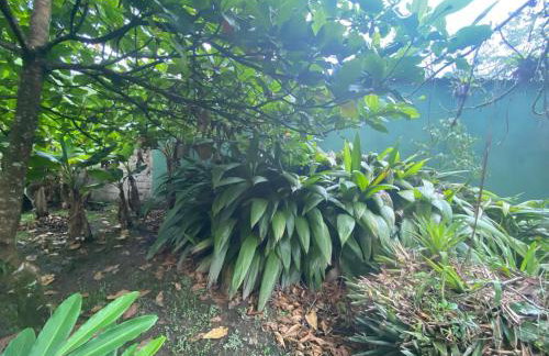 Chácara Gomes - Caiubura - Bertioga - Foto 69