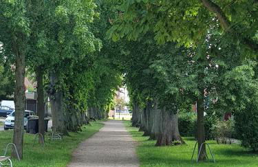 Ferienwohnung in Ostseenähe - Foto 20