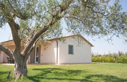 Agriturismo Il Mirto - Foto 9