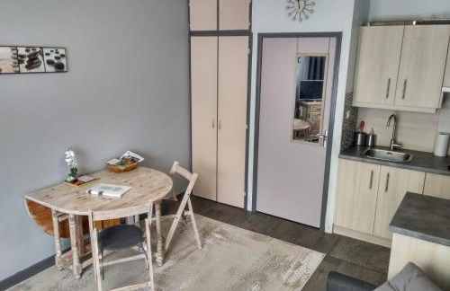 Studio au cœur des Volcans d Auvergne - Murol - Foto 16