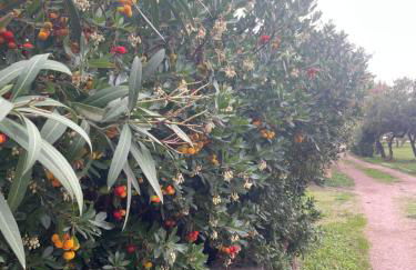 Villa Marghe - Foto 63