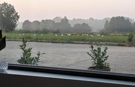 MASIA CLOTATS - Photo 51