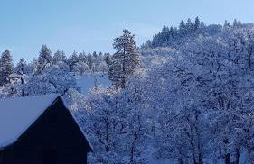 Cozy Cabin, near Mosier and Hood River - Foto 24