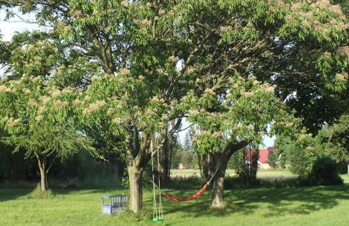 Rittergut Endorf - Foto 7