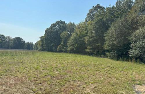 Magnolia Estate Container Home - Foto 7