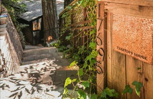 Norcal Hideaway - Dogs OK - Foto 13