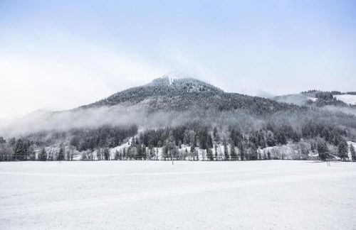 TERRESENS - Le Flocon Blanc - Foto 17