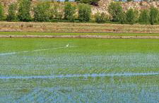 GuestReady - Seaside Serenity in Comporta - Foto 42