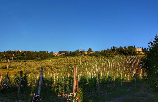 Escape to Vineyards, Elba - Foto 38