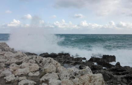 Palacca, trullo salentino - Foto 26