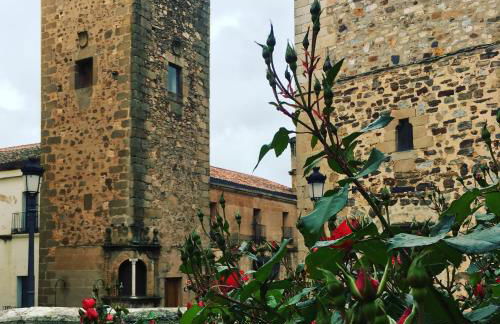 Apartamentos Caceres - Foto 46