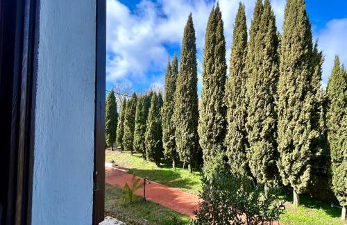 Villa Mucellena - Foto 17