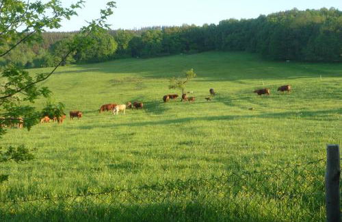 Wiesengrund - Foto 2