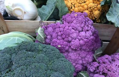 Casale Kintsugi - Foto 45