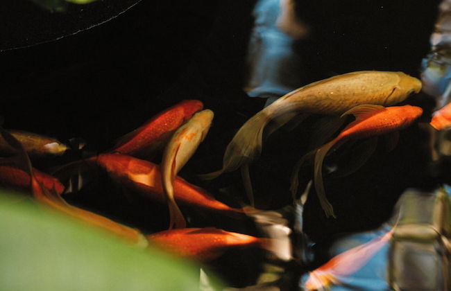 Villa Rosita - Foto 57