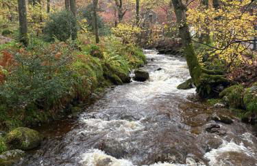Cozy Loch Lomond Lodge 27, Rowardennan - Foto 24