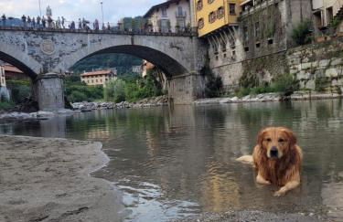 Cà dl'Ernesto - Foto 38