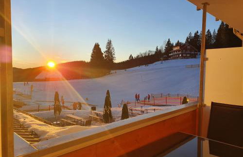 Enjoy Ferienwohnung Feldberg Grafenmatt - Foto 3