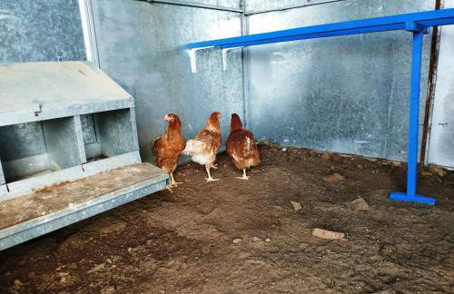 Casa Rural Sierra de Aguafría. Finca El Robledillo - Foto 56