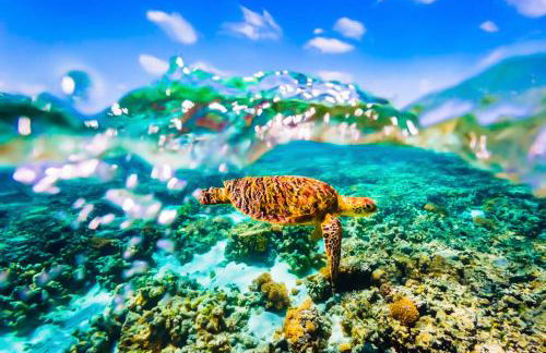 PRETTY SPITI Holiday Retreat - Photo 60