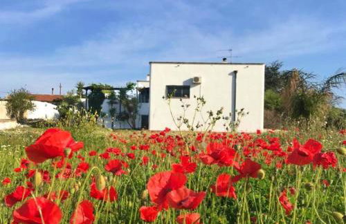 Villa Sara di Puglia - Foto 70