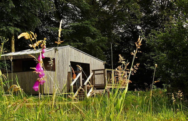 Etape en forêt - Foto 60