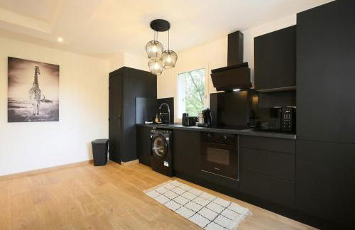 Beautiful Toulouse Apartment - Foto 12