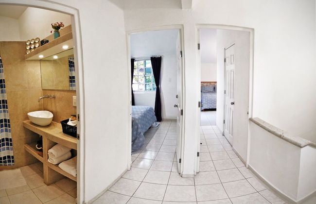 HominngBird - Foto 3