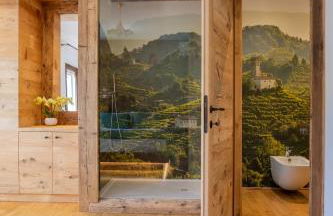 GATTO IN VIGNA - Foto 19