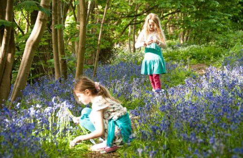 Farm Cottage a cute C17th cottage a walk across the fields to a great pub - Foto 43