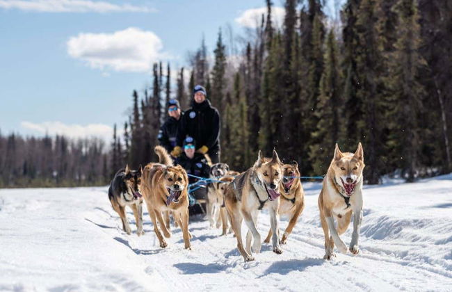 Paseo en trineo de perros husky en invierno - Foto 8