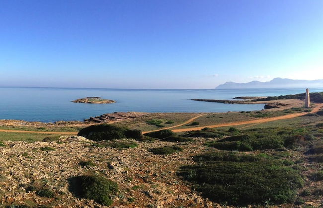 Atzur in Son Serra de Marina - Foto 32