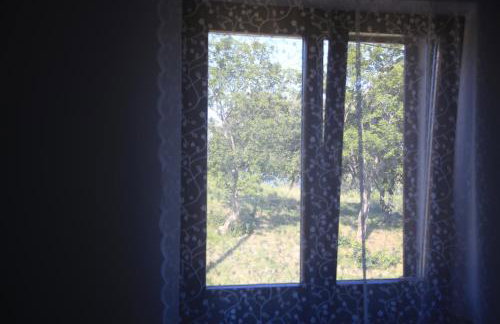 Apartments Ida Sveta Marina - Foto 50