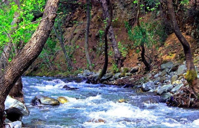 Antik Vadi Bungalov Otel - Photo 22