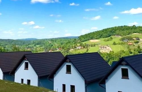 Solińskie Wzgórze domki z kominkami Solina Centrum - Photo 35