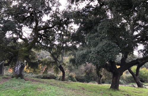 Cercado Forero - Foto 39