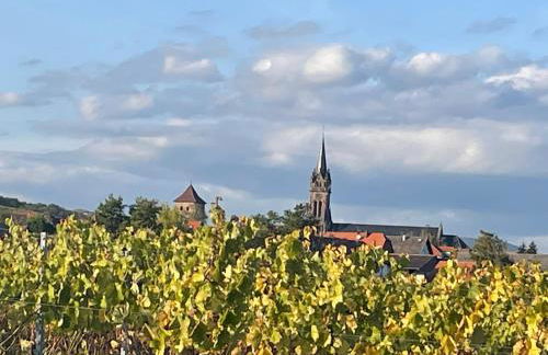 La Cour Zaepffel - Foto 4