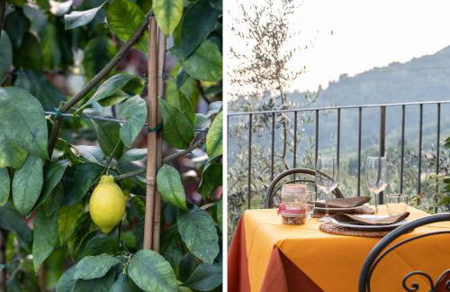 Casetta di Butia, Ginestra apartment with swimming pool - Foto 44