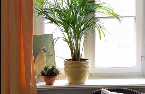 Epic Location - Foto 17