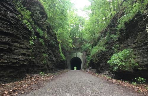 Romantic 1BR Cabin w Hot Tub Near Carbondale - Foto 29